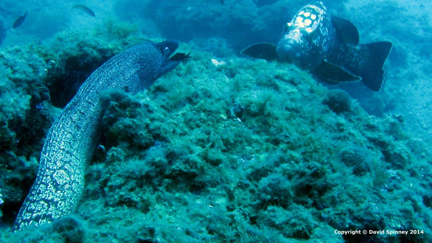 Jo and David Spinney scuba diving etartit, spain, 2014