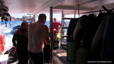 The Dive Boat