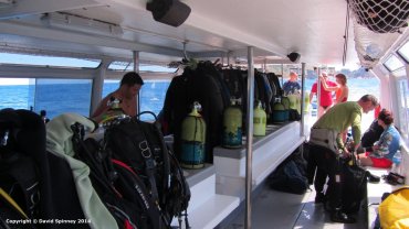 The Dive Boat