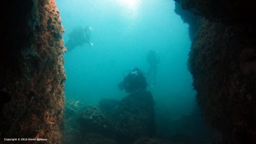Our Dive Buddies