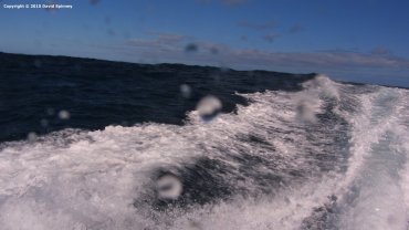 Wake from the dive rib