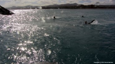 Wayne, Ben and Kyle swimming to shore