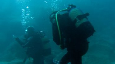 Megan Dive Walking