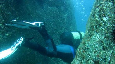 Scuba diver swimming between rocks