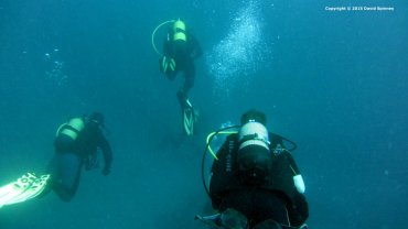 Scuba Divers