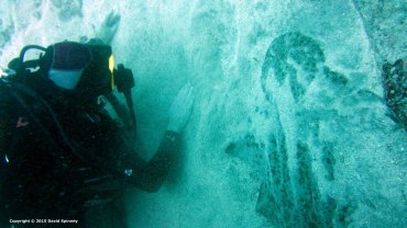 Wayne Fleet & Angel Shark