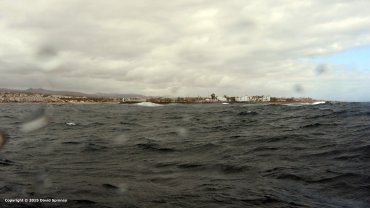 The seas we were diving