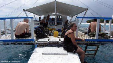 Jo Spinney on Dive Banka