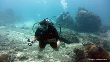 Jo Spinney Taking Photographs