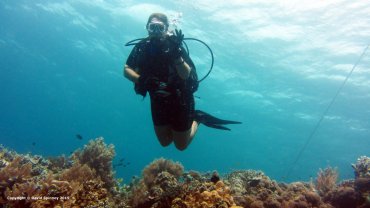 Jo Spinney Diving
