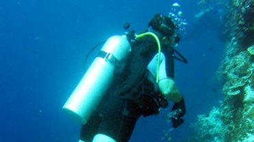 Jo Spinney Diving