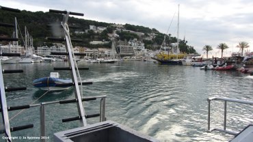 The Harbour