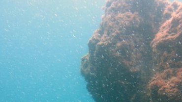 Ocean Scenery
