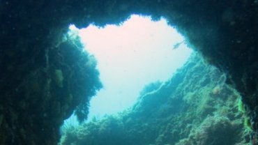 A small Swim Through