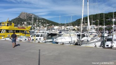 The Harbour