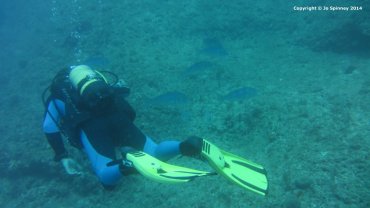David Swimming Along