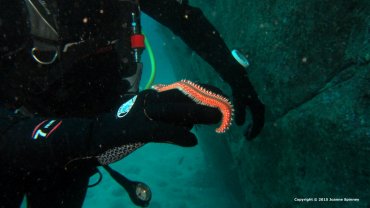Gary holding a Fire Worm