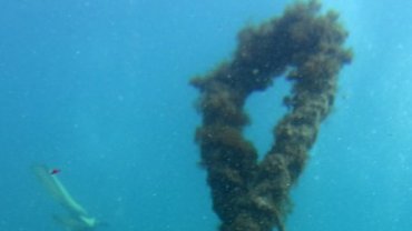 Very Thick Rope on the Wreckage