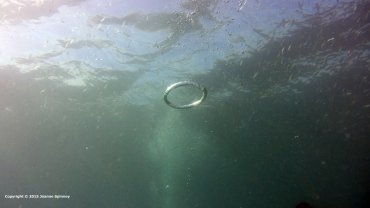 Perfect Ring
