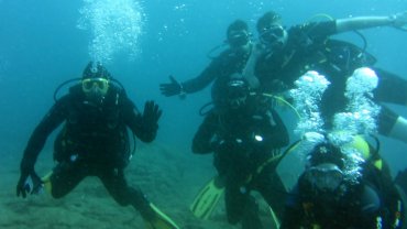 Part of the Group