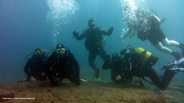 Our Group